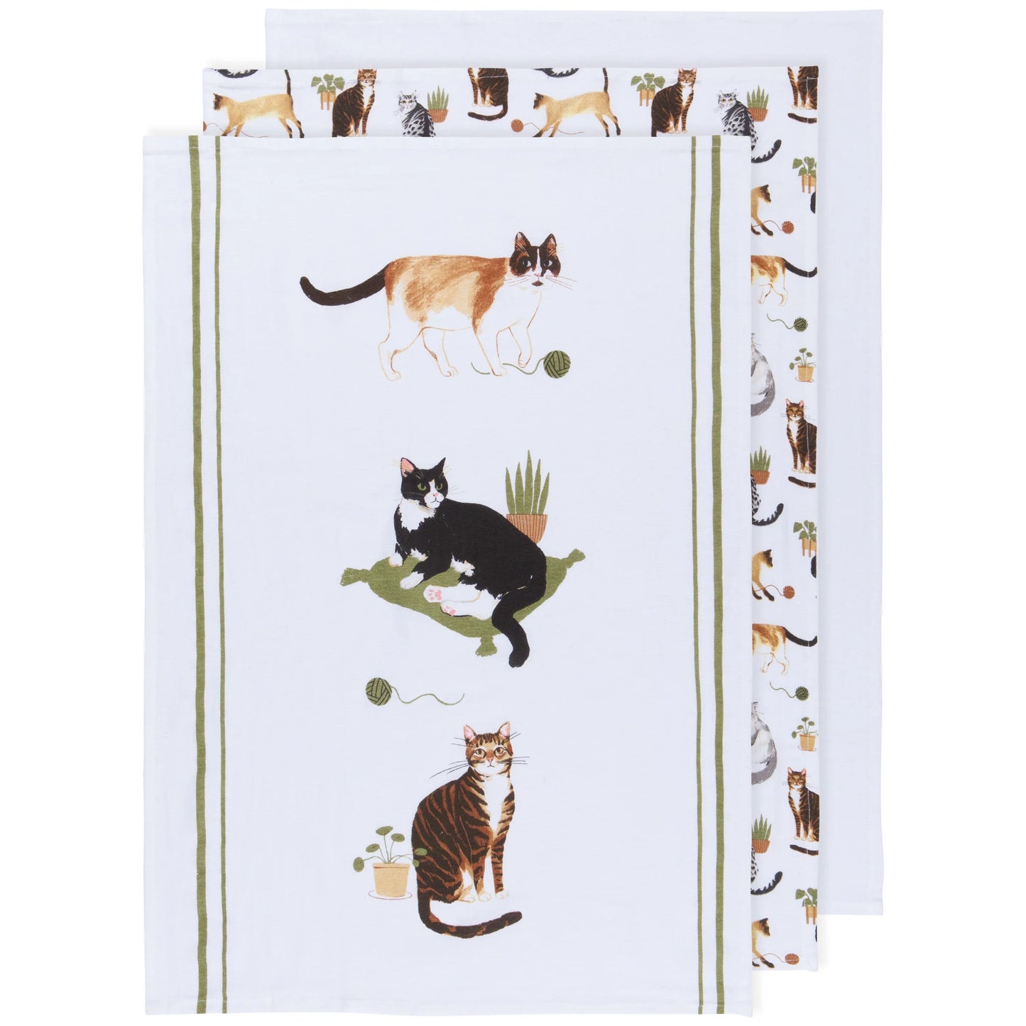 Floursack Dishtowel Set/3 - Cat Collective