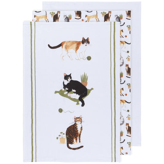 Floursack Dishtowel Set/3 - Cat Collective