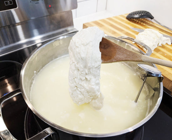 Mozza + Ricotta Cheese Making Kit