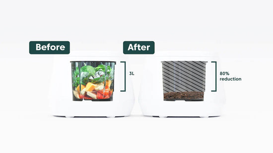 Lomi Smart Waste Kitchen Composter