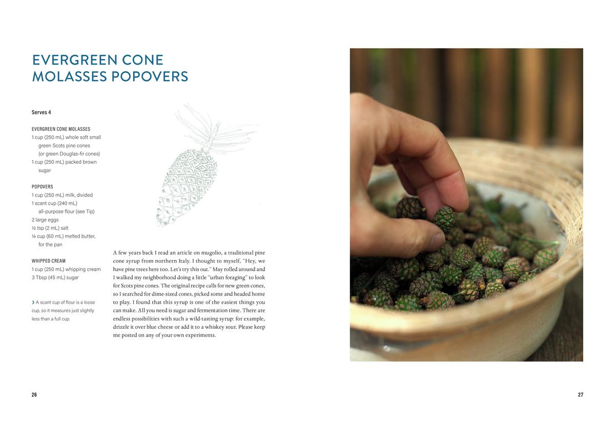 The Coastal Forager's Cookbook: Feasting Wild in the Pacific Northwest - Robin Kort