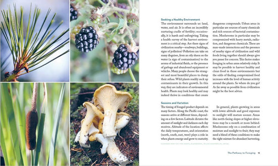 The Deerholme Foraging Cookbook: Wild Ingredients and Recipes from the Pacific Northwest, Revised and Updated | Revised, 2nd Edition