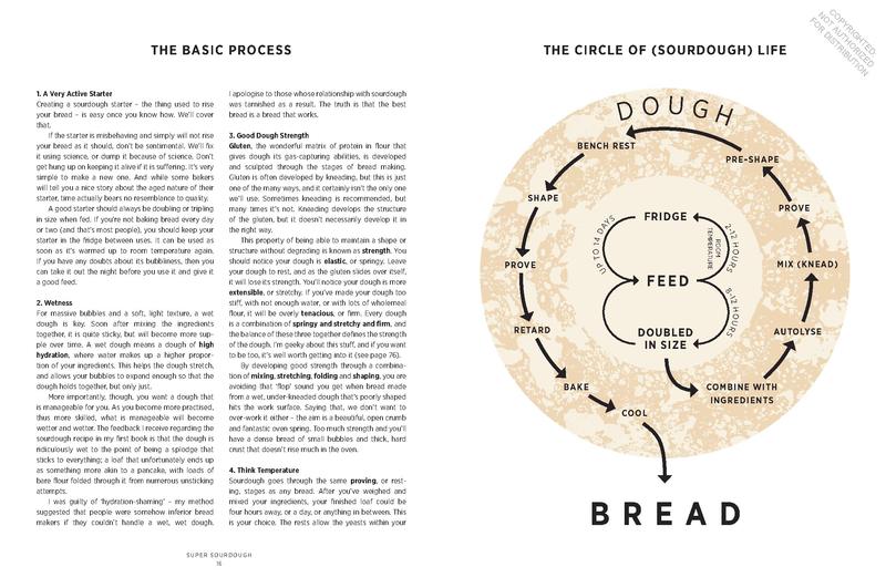 Super Sourdough: The Foolproof Guide to Making World-Class Bread at Home - James Morton