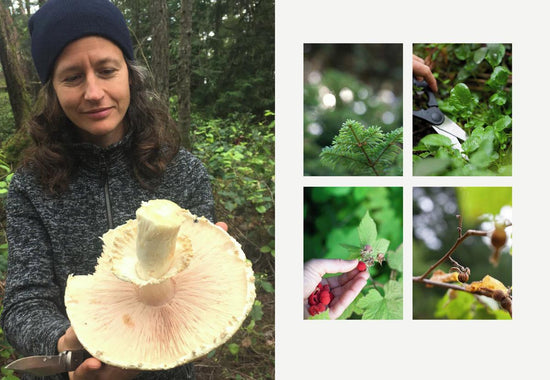 The Coastal Forager's Cookbook: Feasting Wild in the Pacific Northwest - Robin Kort